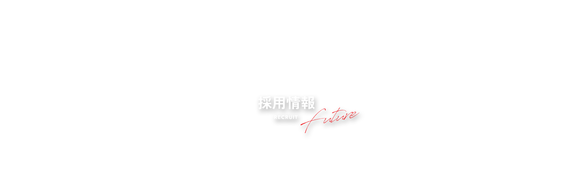 採用情報